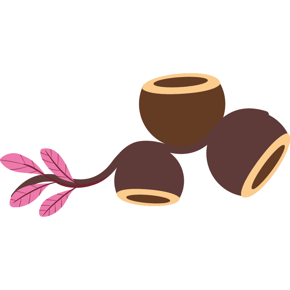 Logo Comunidade Sapucaia