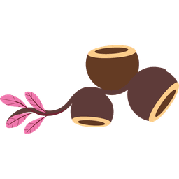 Logo Comunidade Sapucaia