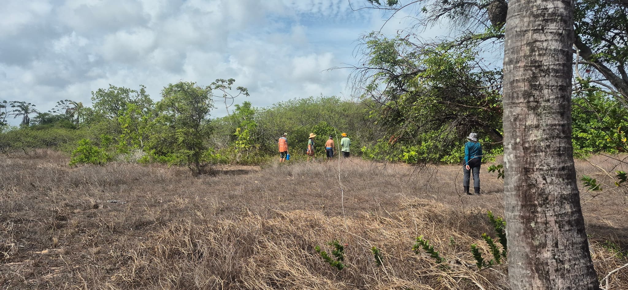 Visita ao terreno da Comunidade Sapucaia